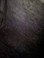 fkillineybeforeinternal 1260.jpg